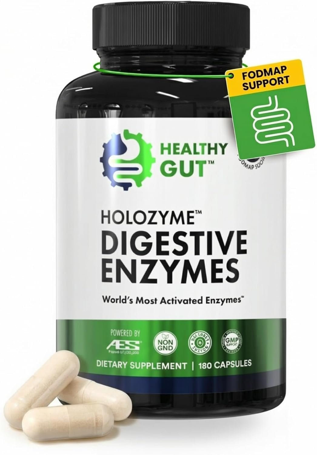 Healthy Gut HoloZyme | Max Strength Digestive Enzymes | 90 Servings