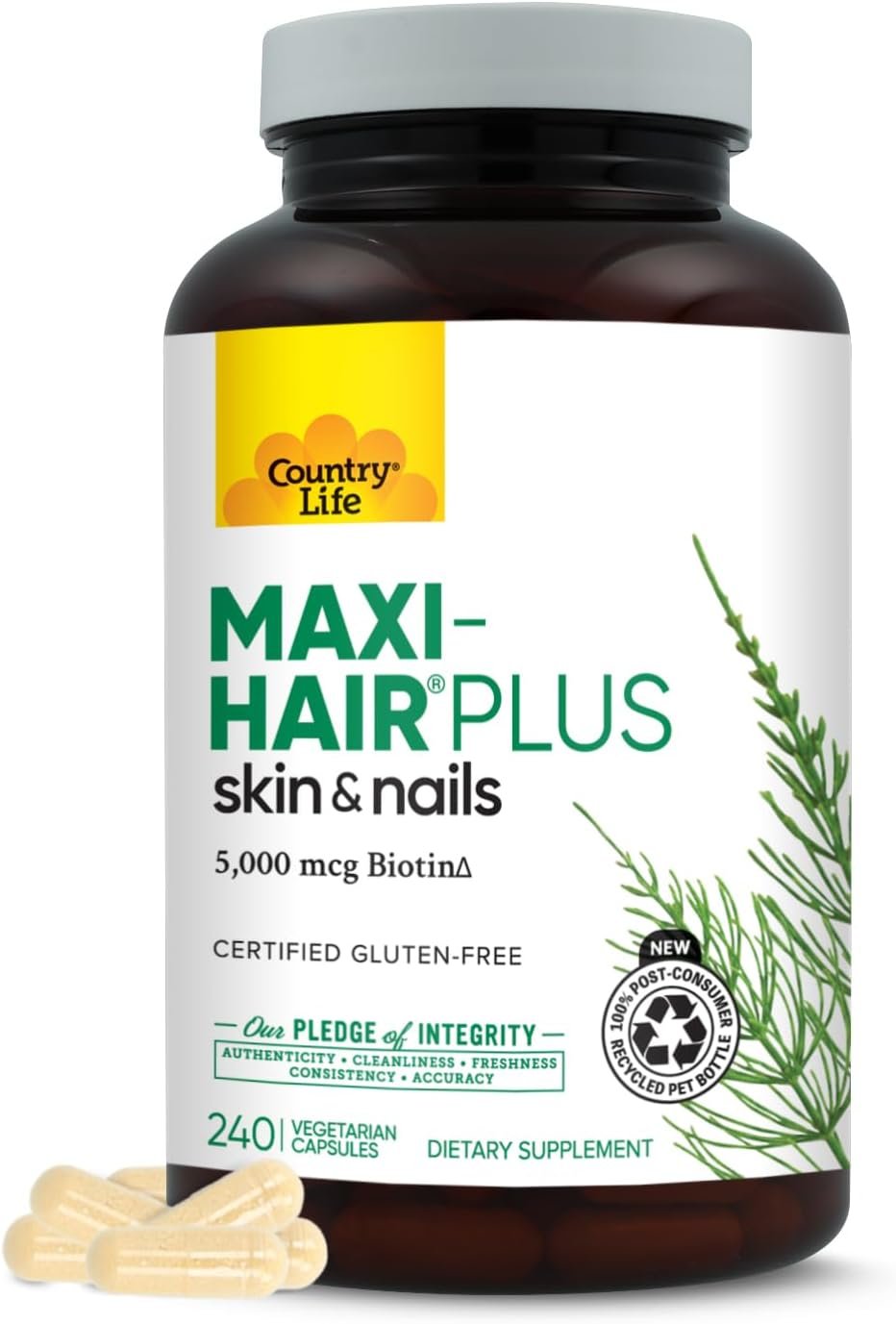 Country Life Maxi-Hair Plus 5000 mcg Biotin, 240 Vegetarian Capsules