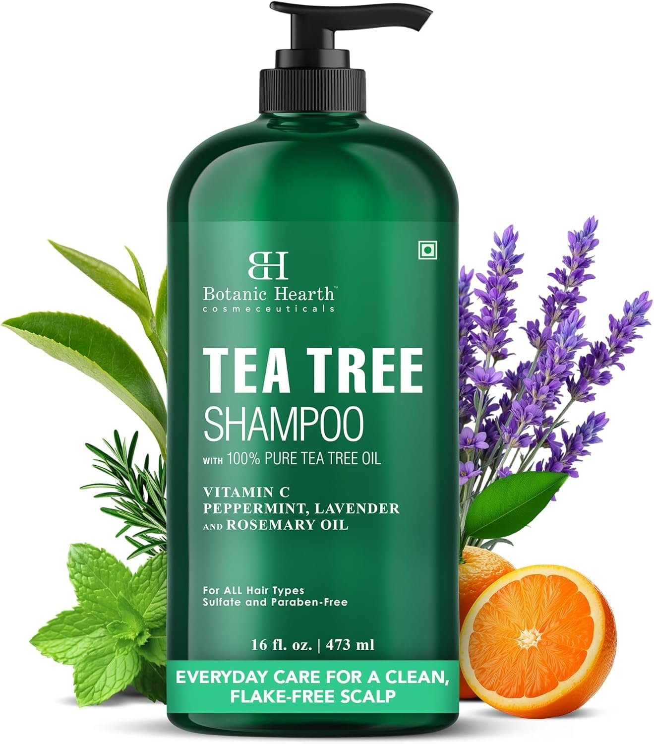 Botanic Hearth Tea Tree Shampoo For Men & Women – 16 Fl Oz